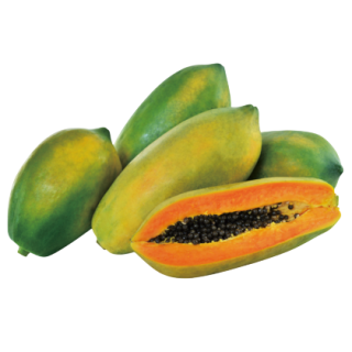 Red Baby Papaya From Known You Seed (India)-KYI